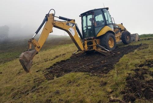 007 ©Darío Cárdenas