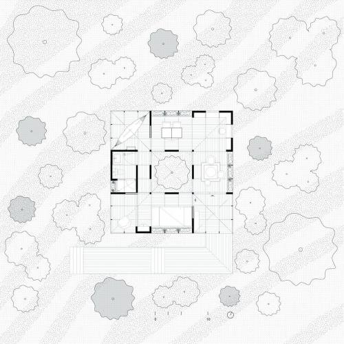 1. Architectural Plant